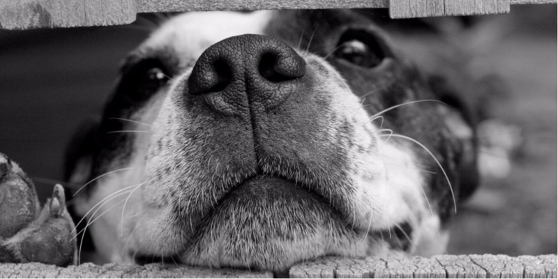 Tegan Mathews website Blog – How a non-techie ended up owning two website