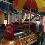 The wandering wedding dress diary usa new orleans tegan marshall becoming engaged with the local hotdog stand and tegan mathews