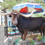 The wandering wedding dress blog usa road trip texas san antonio tegan marshall tegan mathews