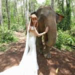 Tegan Marshall And The Wandering Wedding Dress In The Forest With An Elephant