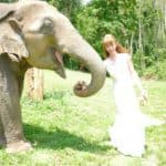 Tegan Marshall Feeding An Elephant In The Wandering Wedding Dress Thailand