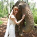 Tegan Marshall Up Close And Personal With An Elephant In The Wandering Wedding Dress