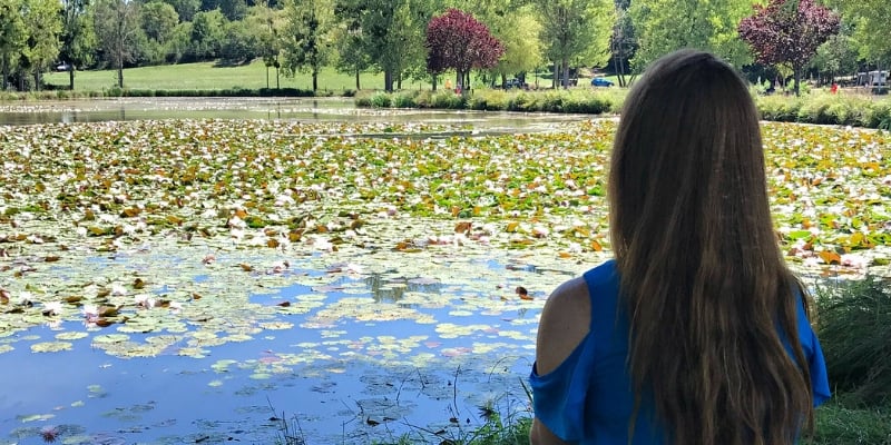 Tegan Marshall Blog Posts' Images (7)