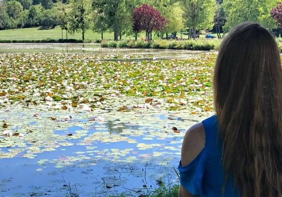 Tegan Marshall Blog Posts' Images (7)